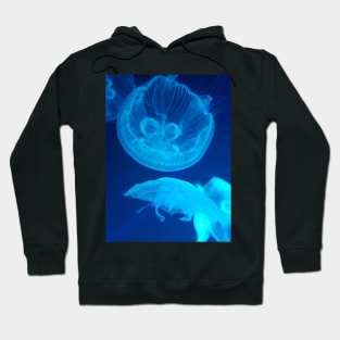 Blue Jellyfish Hoodie